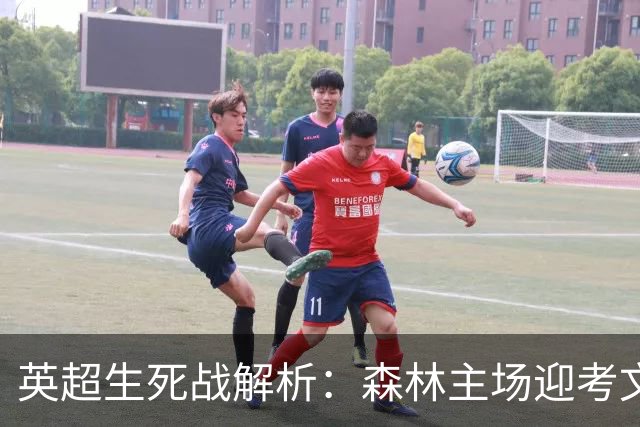 英超生死战解析：森林主场迎考文垂，积分差距下的战术博弈
